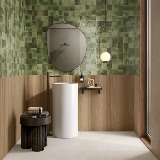 ragno solida 012.jpg