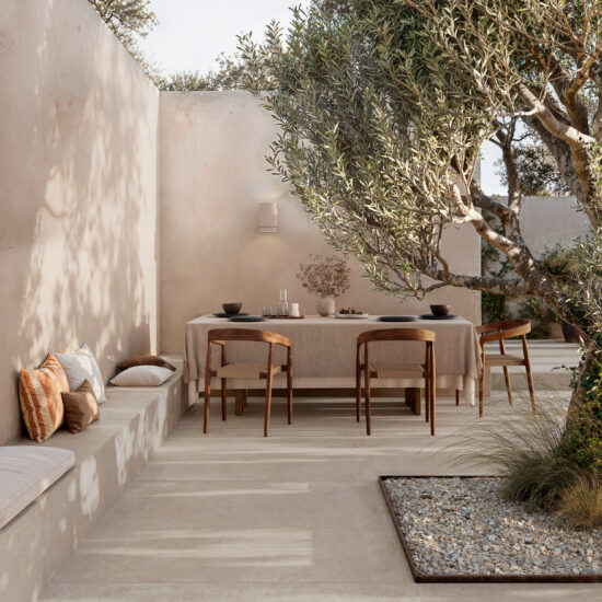 ragno solida 015.jpg