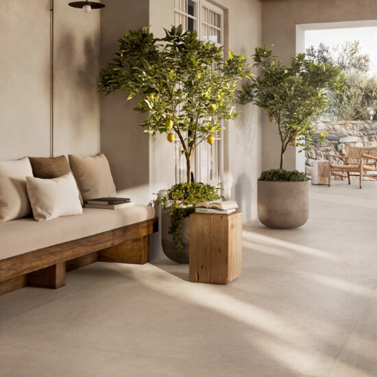 ragno solida 016.jpg