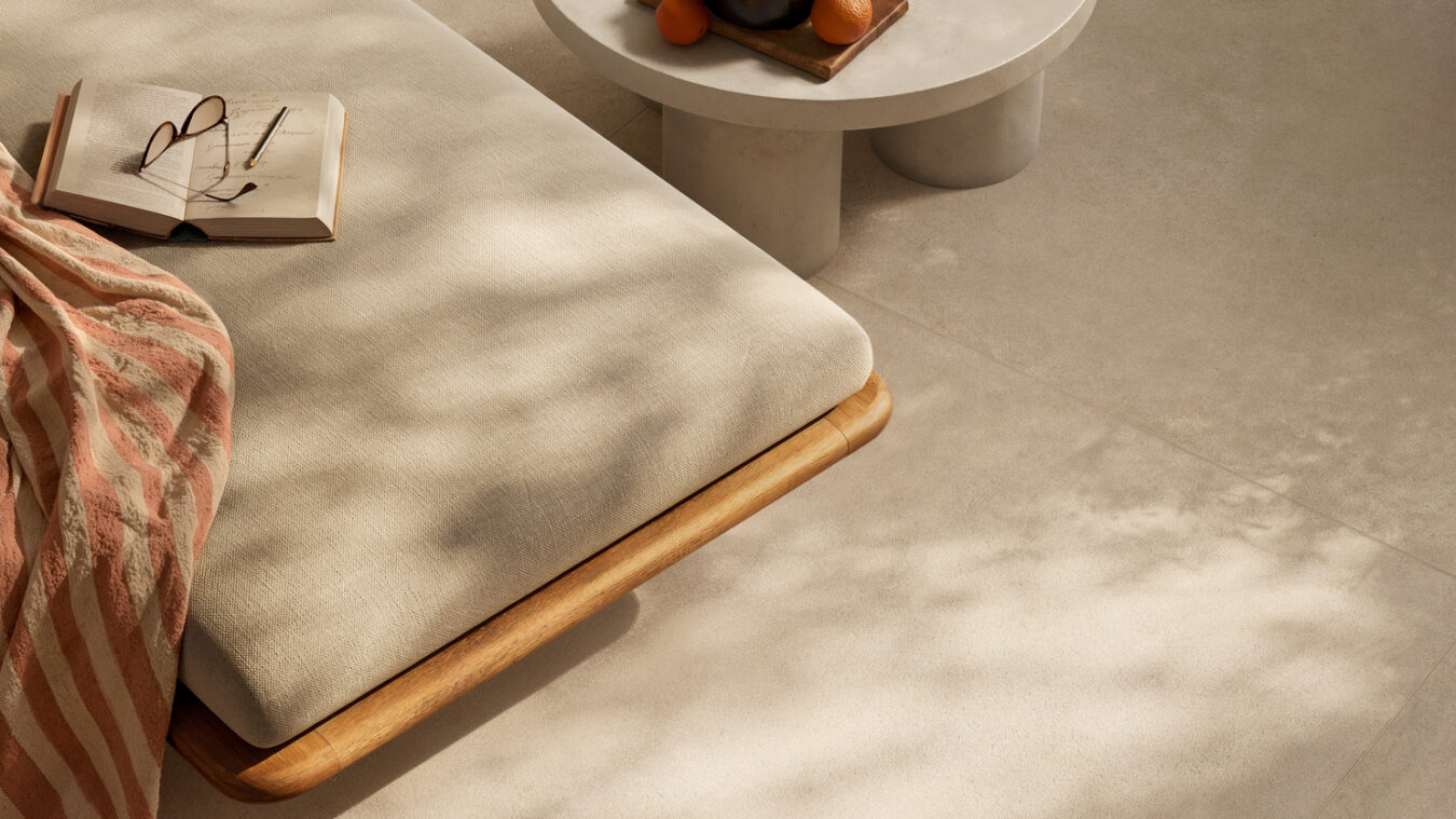 ragno solida 023.jpg