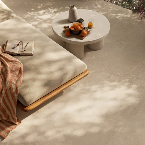 ragno solida 023.jpg