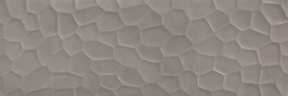 ragno terracruda r6uz.jpg