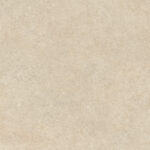 ragno tiempo rcs3.jpg