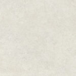 ragno tiempo rcs6.jpg