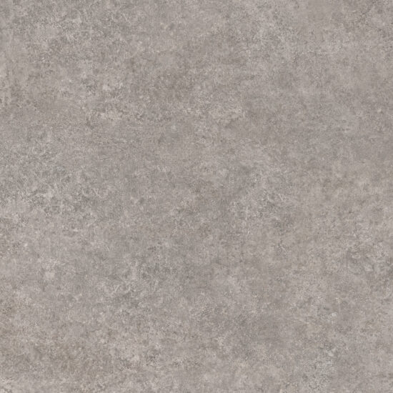 ragno tiempo rcs7.jpg