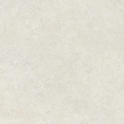 ragno tiempo rcsd.jpg