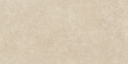 ragno tiempo rcss.jpg