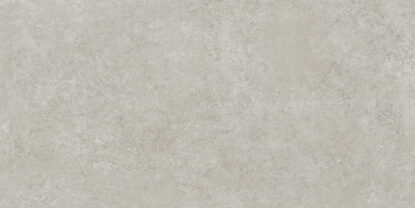 ragno tiempo rcst.jpg