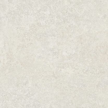 ragno tiempo rctw.jpg