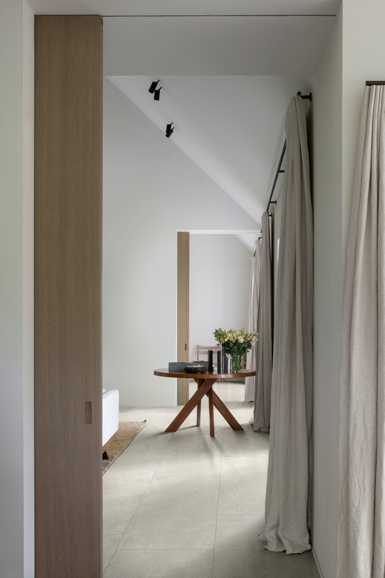 ragno tiempo 004.jpg