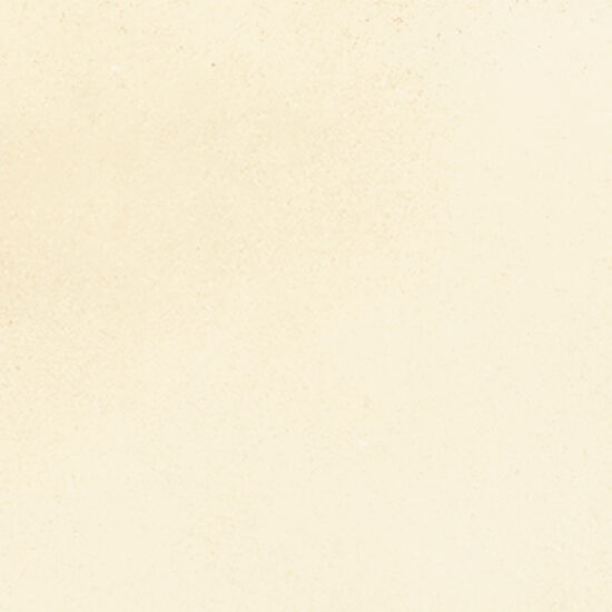 ragno viaggi rcz1.jpg