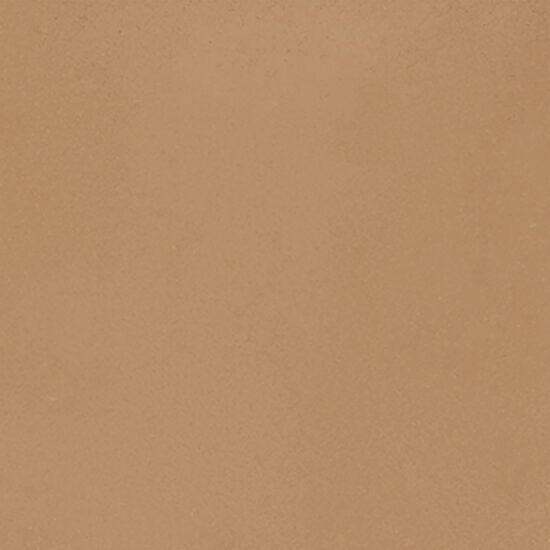 ragno viaggi rcz3.jpg