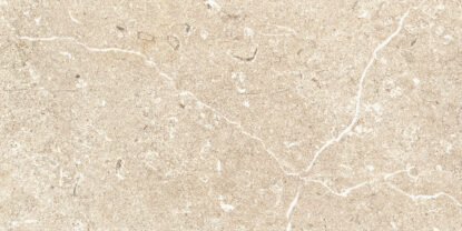 ragno viaggi rcz5.jpg