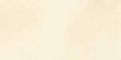 ragno viaggi rcz7.jpg