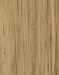 ragno woodclass r76r.jpg