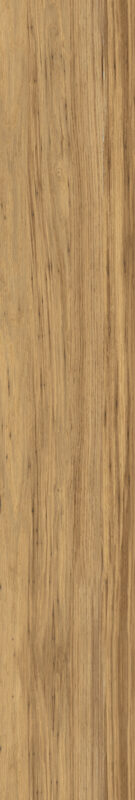 ragno woodclass r76r.jpg