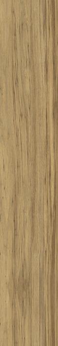 ragno woodclass r76r.jpg