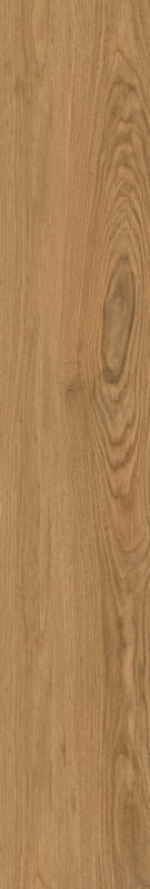 ragno woodclass r76s.jpg