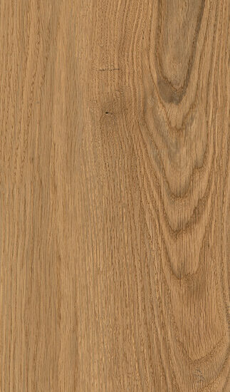 ragno woodclass r76s.jpg