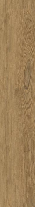 ragno woodclass r76s.jpg