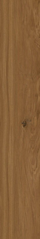 ragno woodclass r76t.jpg