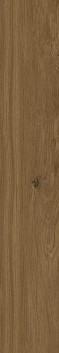 ragno woodclass r76t.jpg