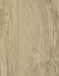 ragno woodclass r76v.jpg