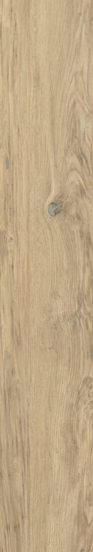 ragno woodclass r76v.jpg