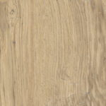 ragno woodclass r76v.jpg