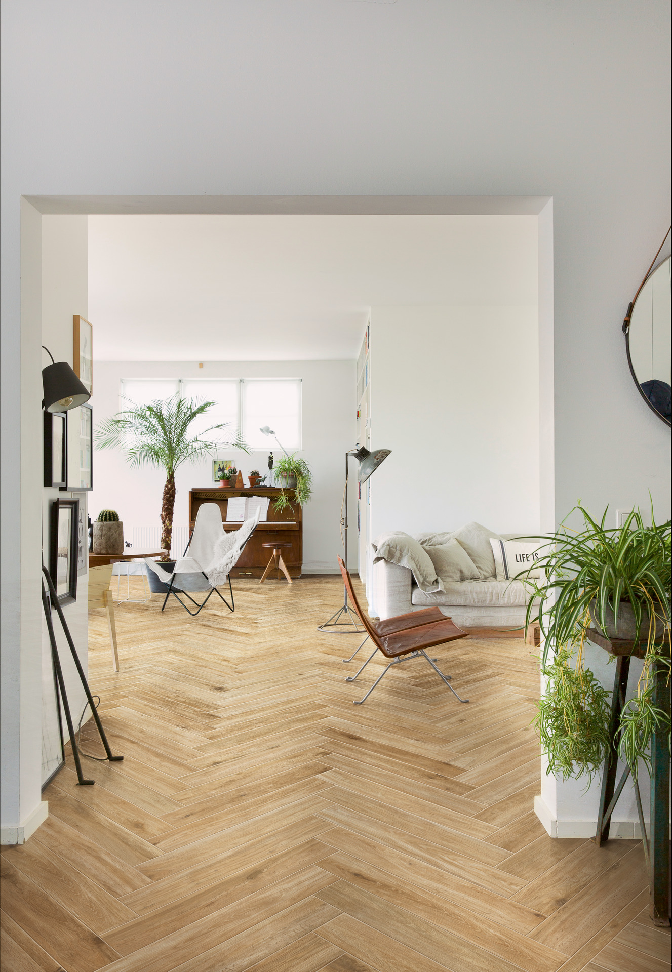 ragno woodglam 001.jpg