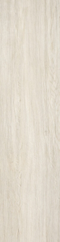 ragno woodliving r3zv.jpg