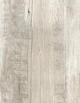 ragno woodmania r55z.jpg