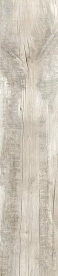 ragno woodmania r55z.jpg