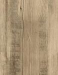 ragno woodmania r56a.jpg