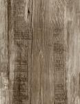 ragno woodmania r56d.jpg