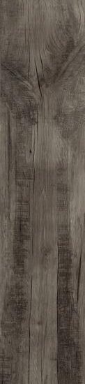 ragno woodmania r56e.jpg