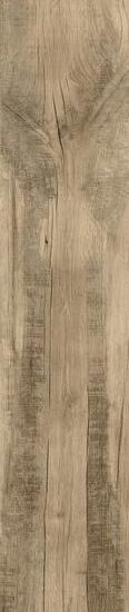 ragno woodmania r56m.jpg
