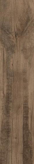 ragno woodmania r56n.jpg