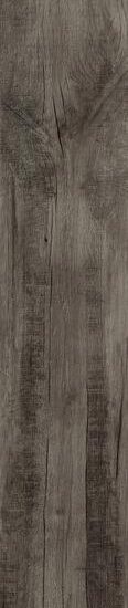 ragno woodmania r56q.jpg