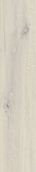 ragno woodstory r5qr.jpg