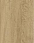 ragno woodstory r5qs.jpg