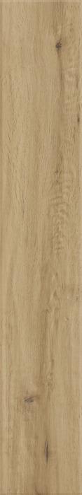 ragno woodstory r5qs.jpg