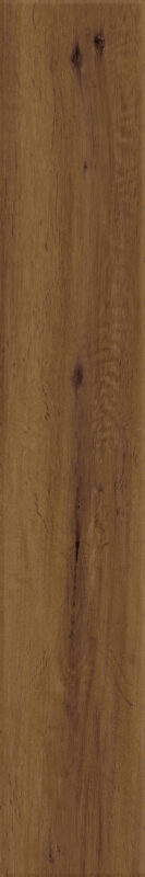 ragno woodstory r5qt.jpg