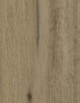 ragno woodstory r5qu.jpg