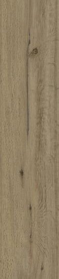 ragno woodstory r5qu.jpg