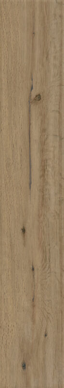 ragno woodstory r5qu.jpg