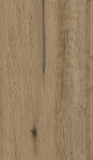 ragno woodstory r5qu.jpg