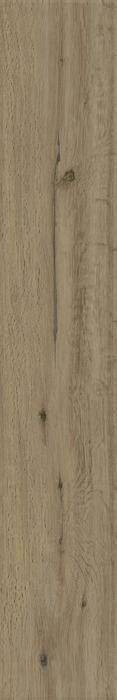 ragno woodstory r5qu.jpg