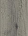 ragno woodstory r5qv.jpg