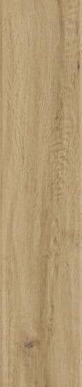ragno woodstory r5rq.jpg